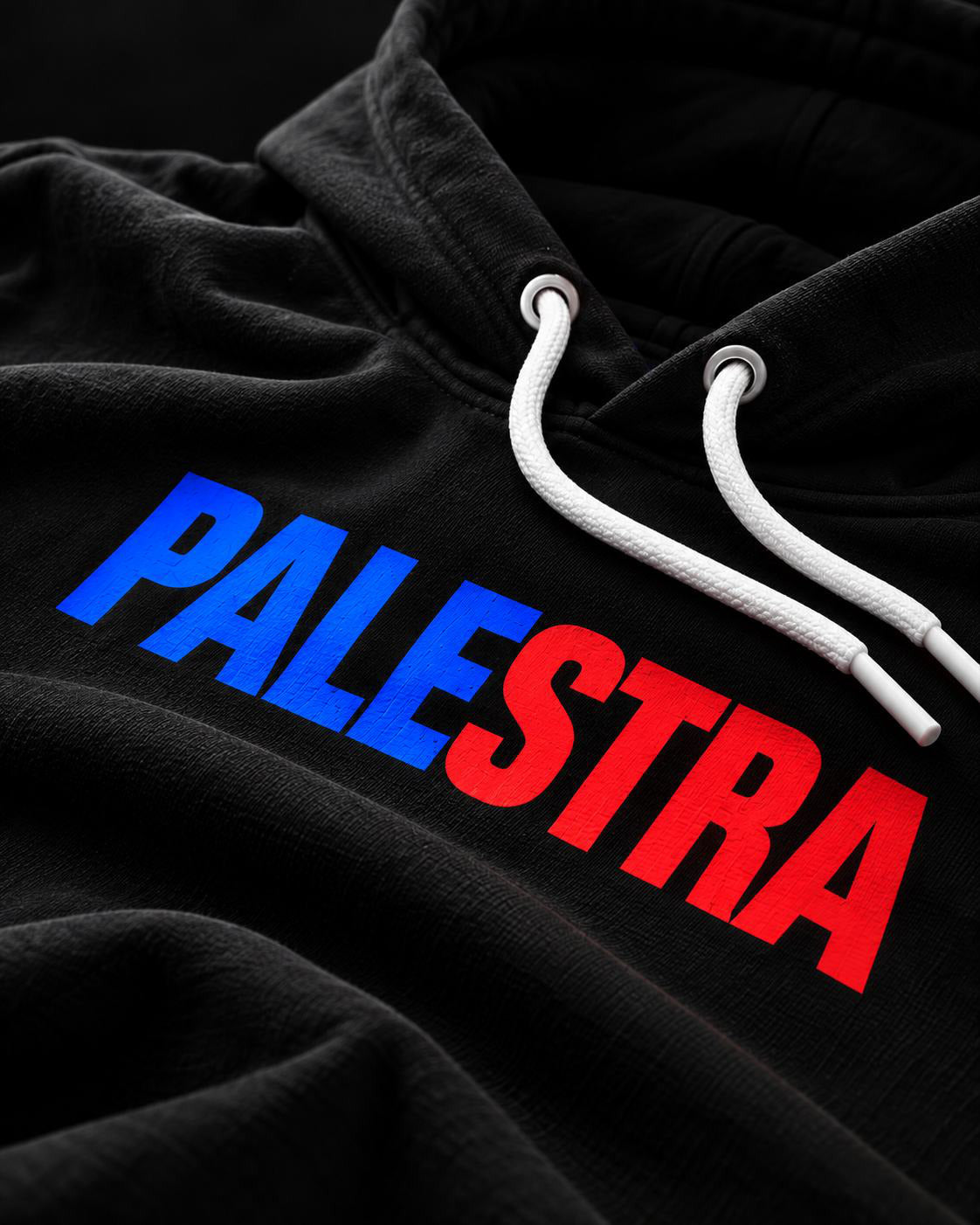 Close-up of the PALESTRA hoodie chest logo and white drawcords