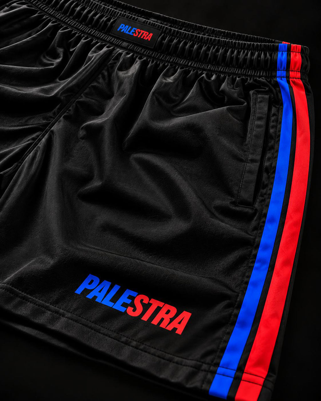 Close-up of the PALESTRA shorts logo and blue and red side stripes