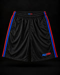 Black PALESTRA shorts with blue and red side stripes, front view on a dark background