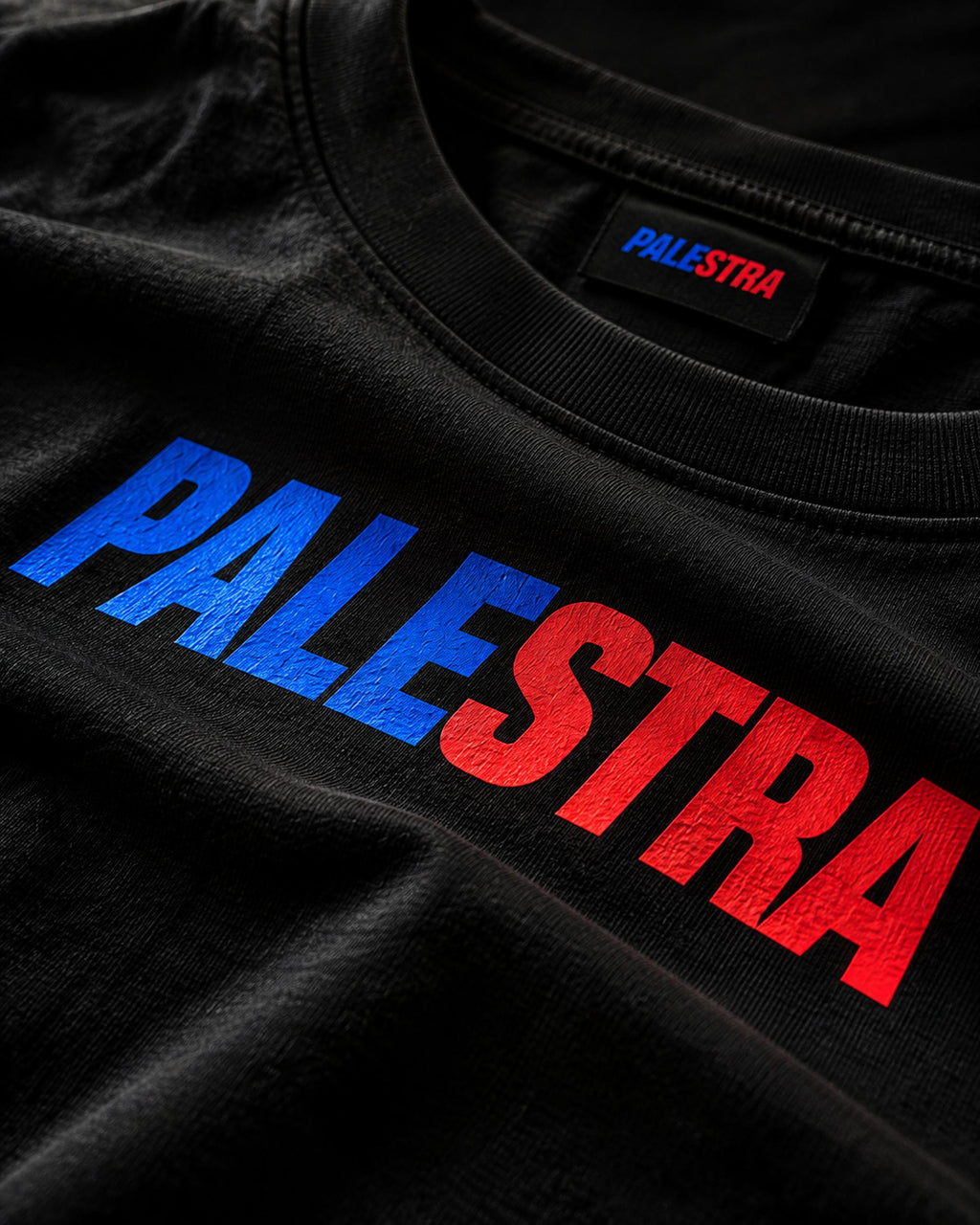 Close-up of the PALESTRA T-shirt chest logo and neckline