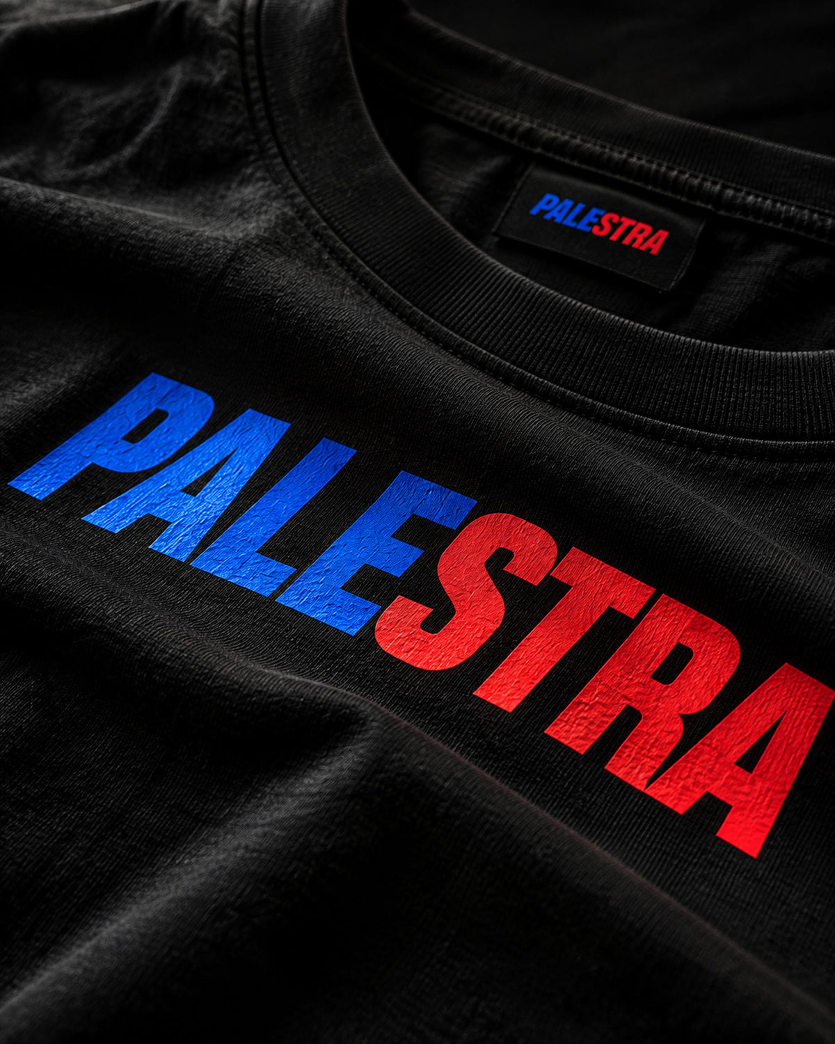 Close-up of the PALESTRA T-shirt chest logo and neckline